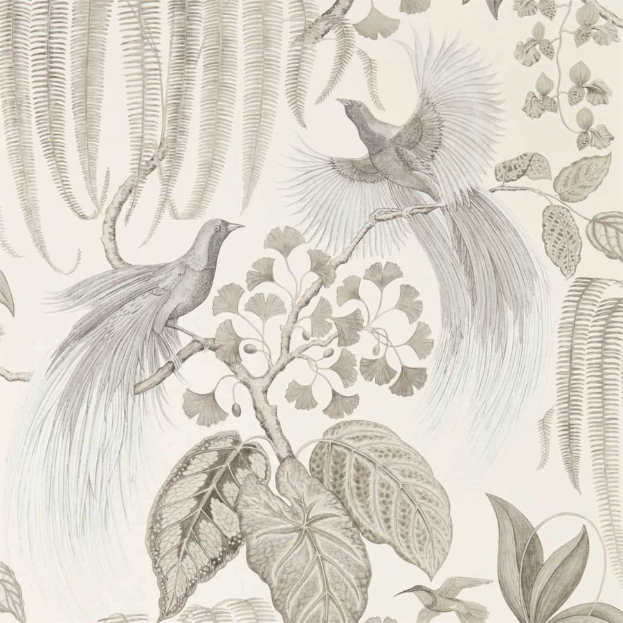 Sanderson Tapet Bird of Paradise Linen